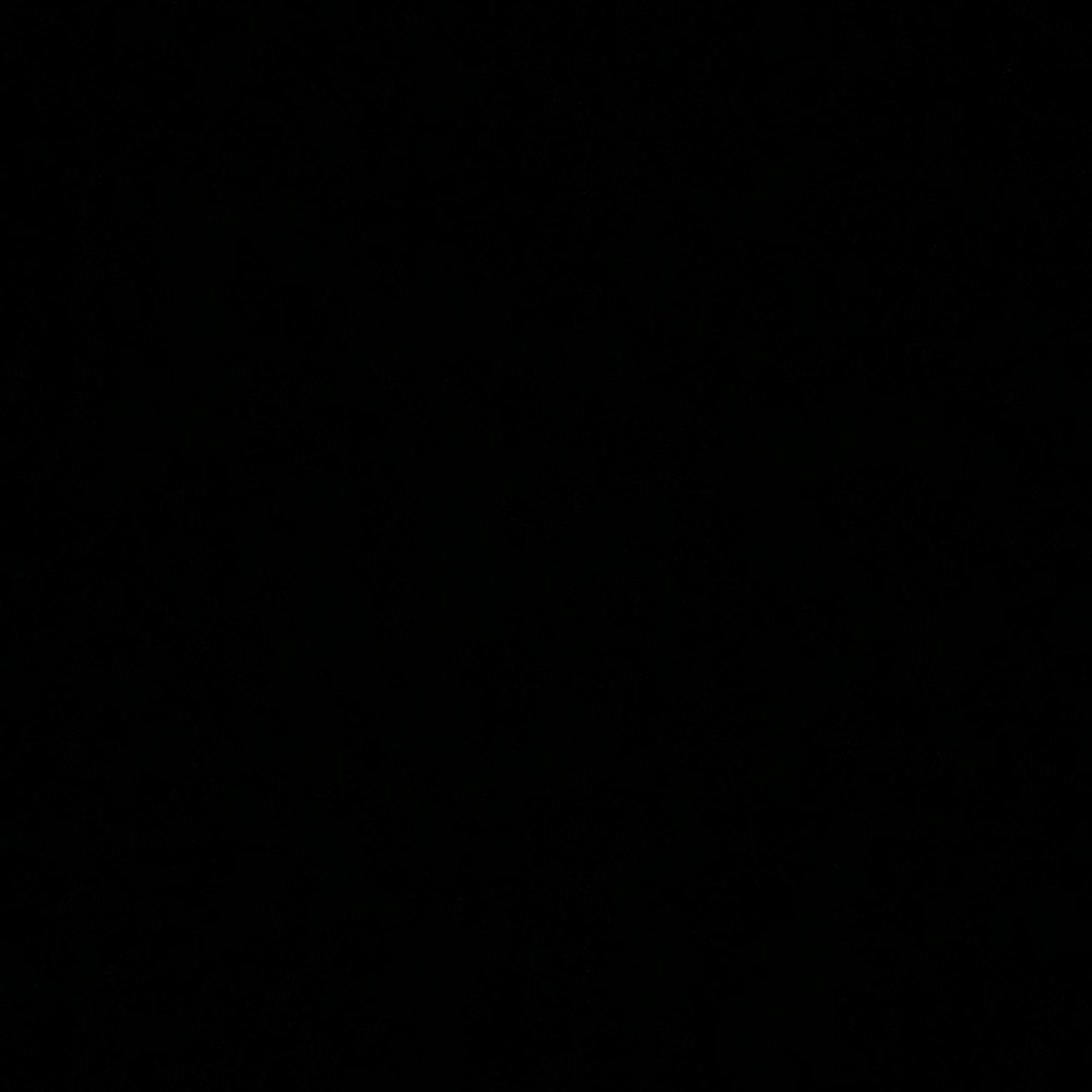 Black chunky sling back women’s shoes